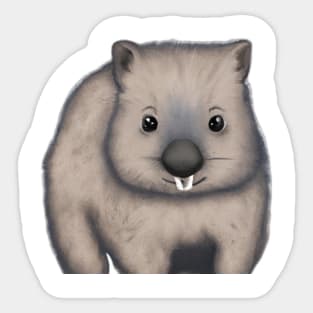 Cute Wombat Drawing Sticker